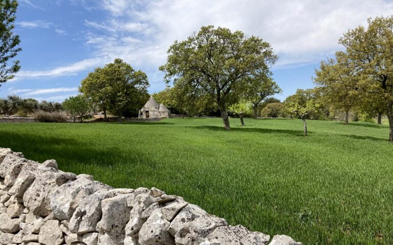 Campagna pugliese