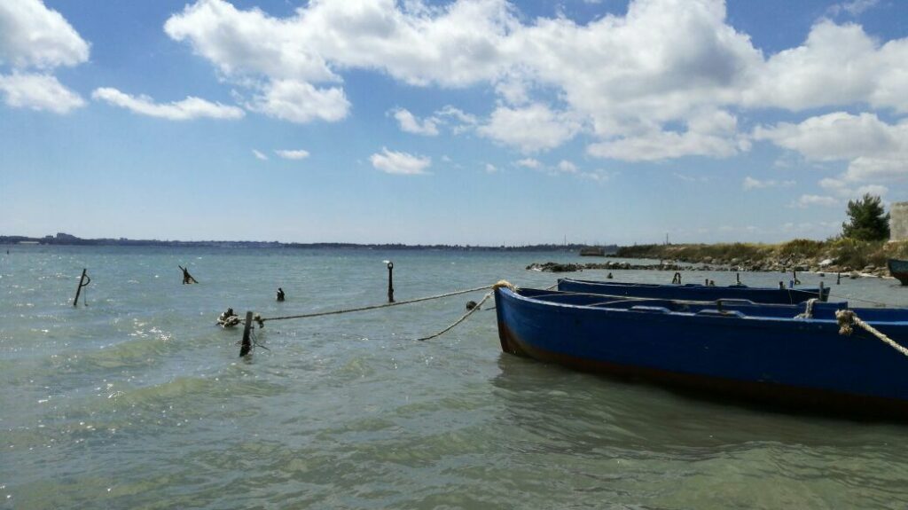 Mare_8