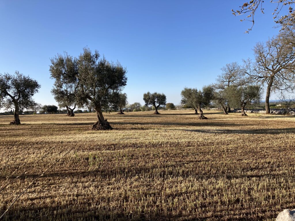 campagna itria-min