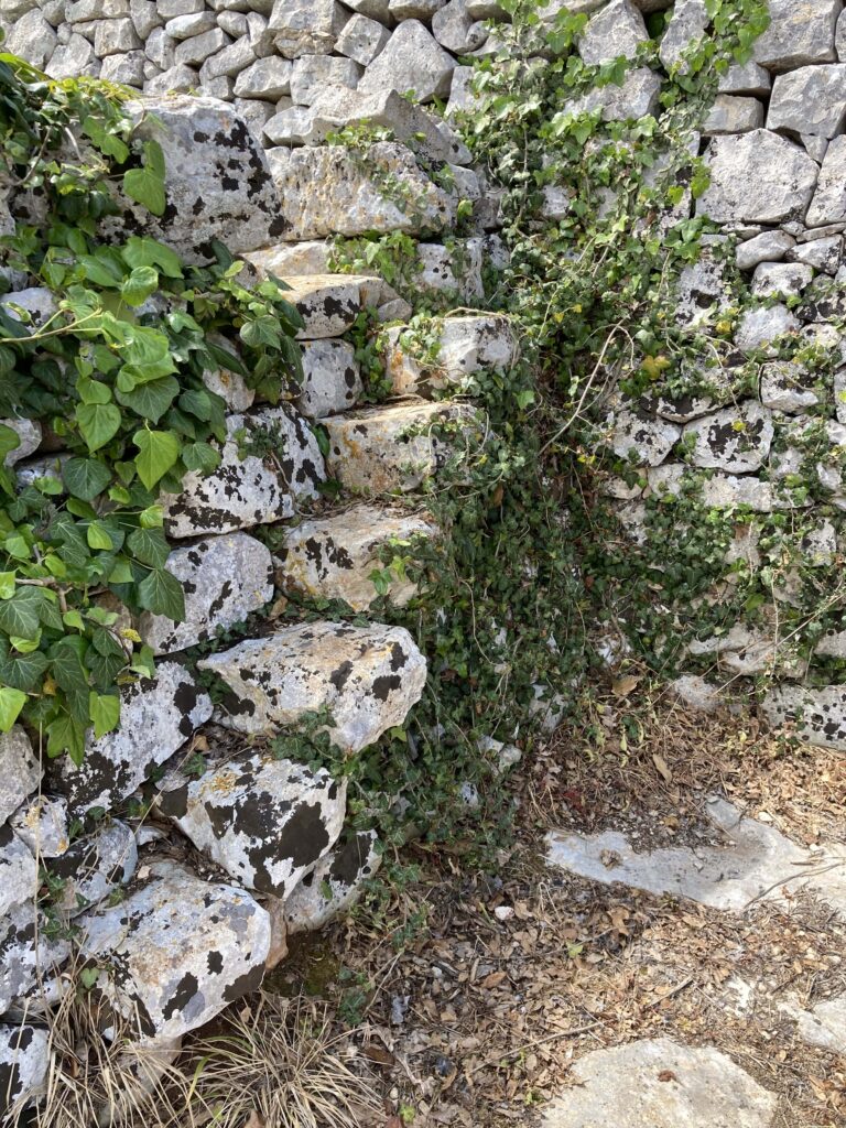 scala nel muretto a secco