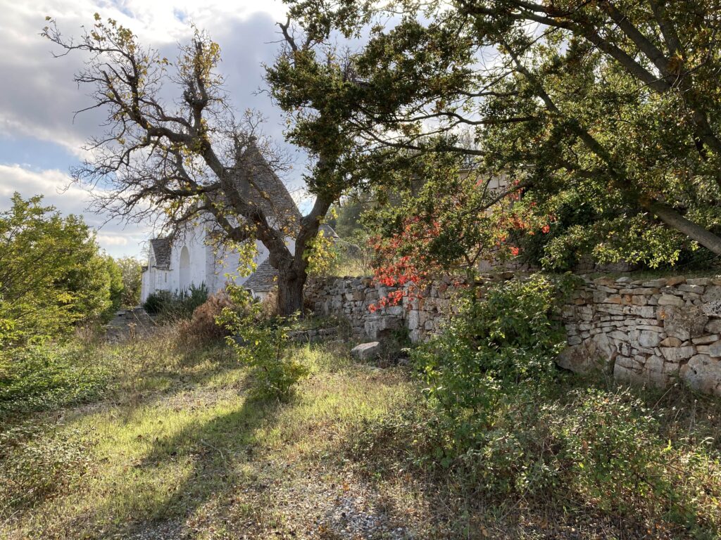 trullo alberobello natura