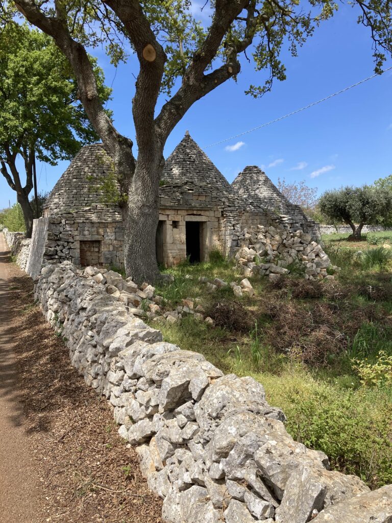 trullo diroccato albero