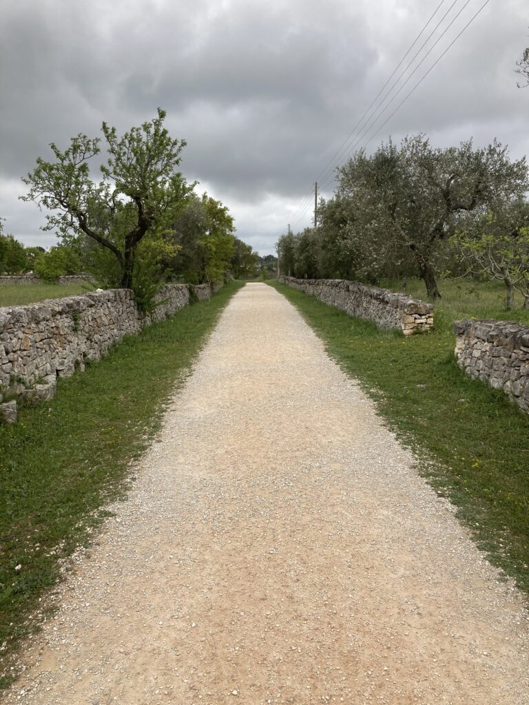 viale con muretto a secco